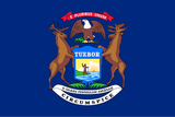 Michigan state flag — translation services