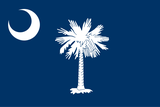 South Carolina state flag — translation services